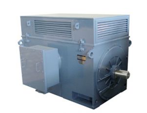 Y、YR系列高壓三相異步電動機(jī)