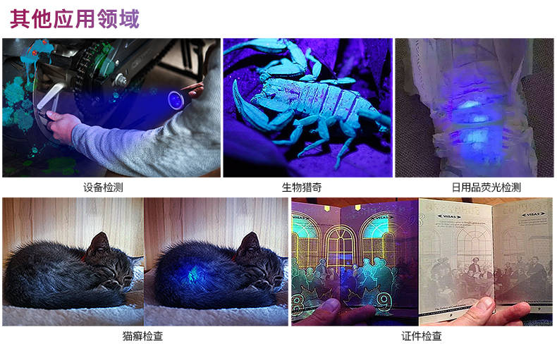 手電筒廠家